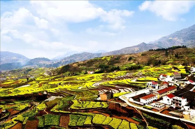 安康春来早暨2017中国·汉阴第12届油菜花旅游季将在今春如期