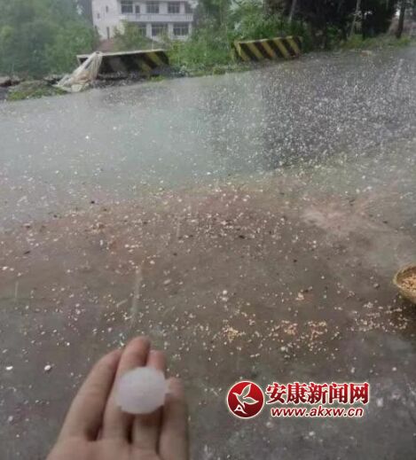 QQͼƬ20160605153511.jpg