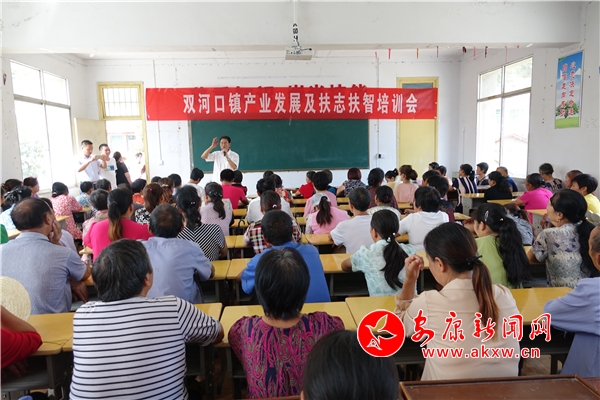 共有农村贫困人口实现脱贫_农村贫困人口实现(3)