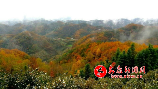 QQͼƬ20181120190237_meitu_1.jpg