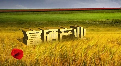 中国富硒产业研究院院