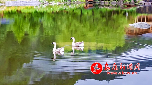 ̶ʫ续