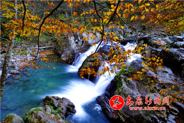 秋染岚皋千层河