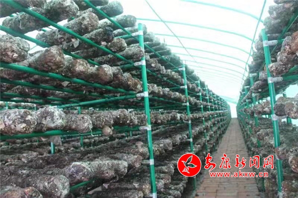 河南县宁特镇有多少人口_河南各县人口排行榜(3)
