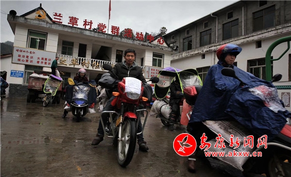JN江南体育做老百姓喝得起的好茶 - 安康新闻网(图1)