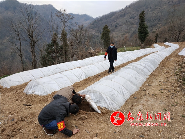 旬阳人口多少人口_旬阳太极城图片(3)