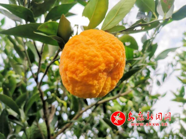 ΢ͼƬ_20201028095813_meitu_10.jpg