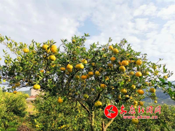 ΢ͼƬ_20201028095810_meitu_9.jpg