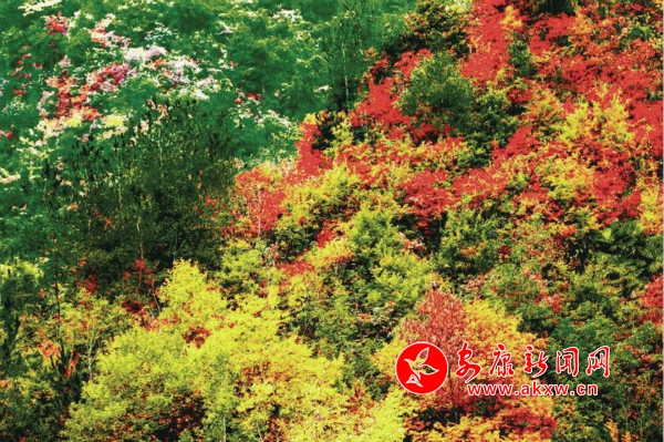 ΢ͼƬ_20201028094651_meitu_8.jpg