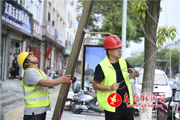 电信通信工作人员在刘家砭地段进行线缆整治
