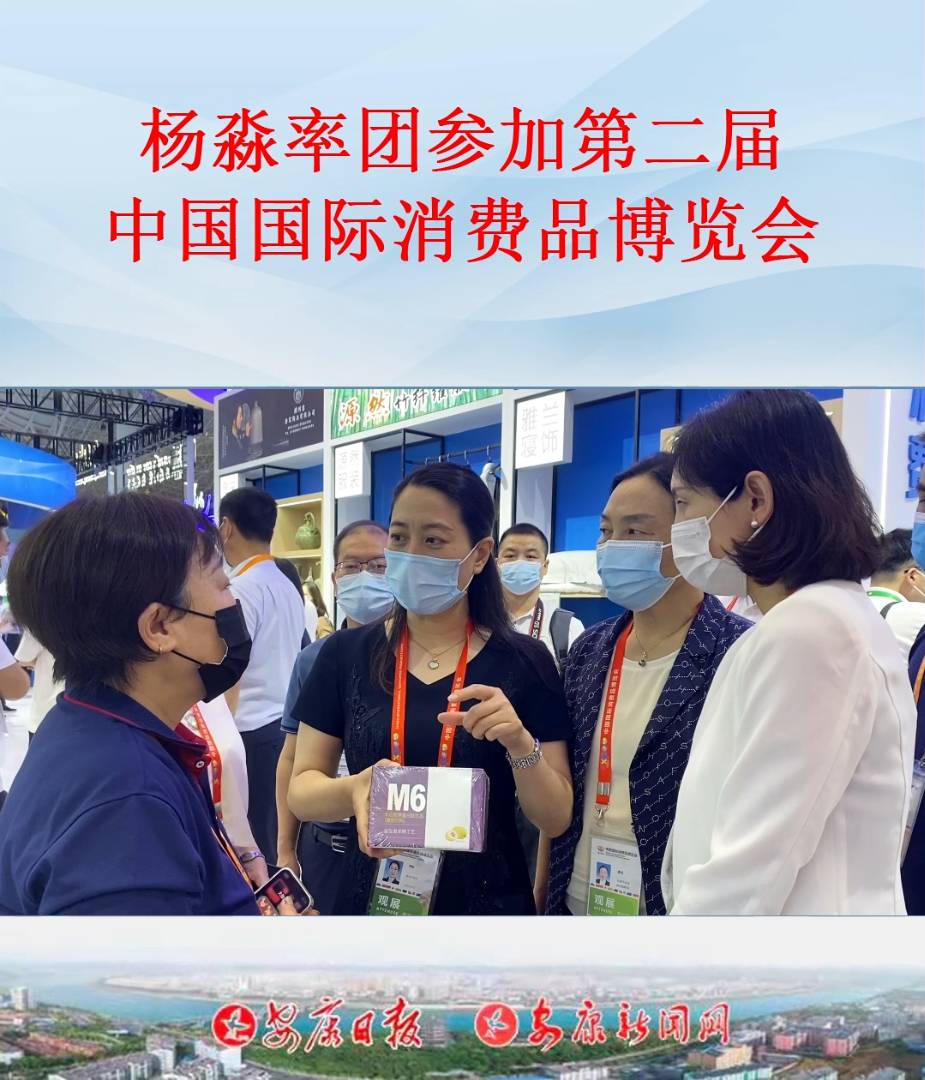 副市长杨淼率安康代表团参加第二届中国国际消费品博览会