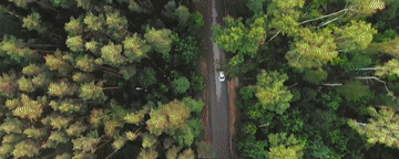 5.gif