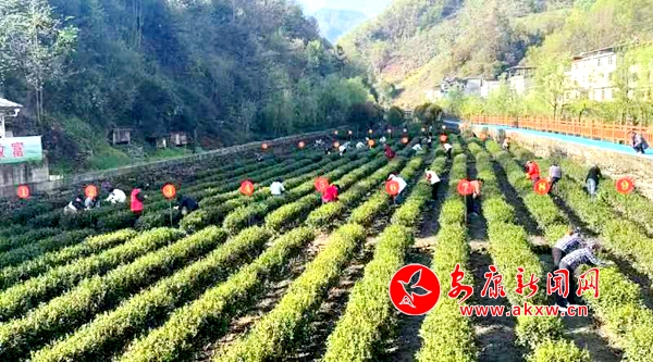 JN江南体育最新官网入口白河县举行2024年“孝义文化进乡村”文明实践活动暨宋家(图2)