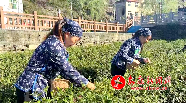 JN江南体育最新官网入口白河县举行2024年“孝义文化进乡村”文明实践活动暨宋家(图3)