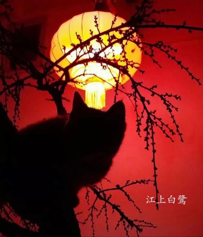 ɽҹȤè  ÷
