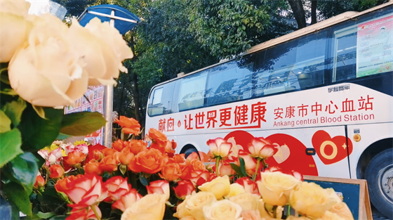 安康这三兄妹，热血！