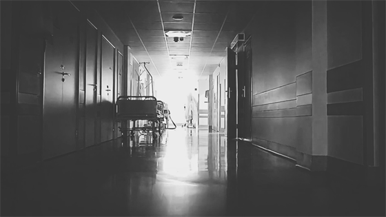 安康这三兄妹，热血！