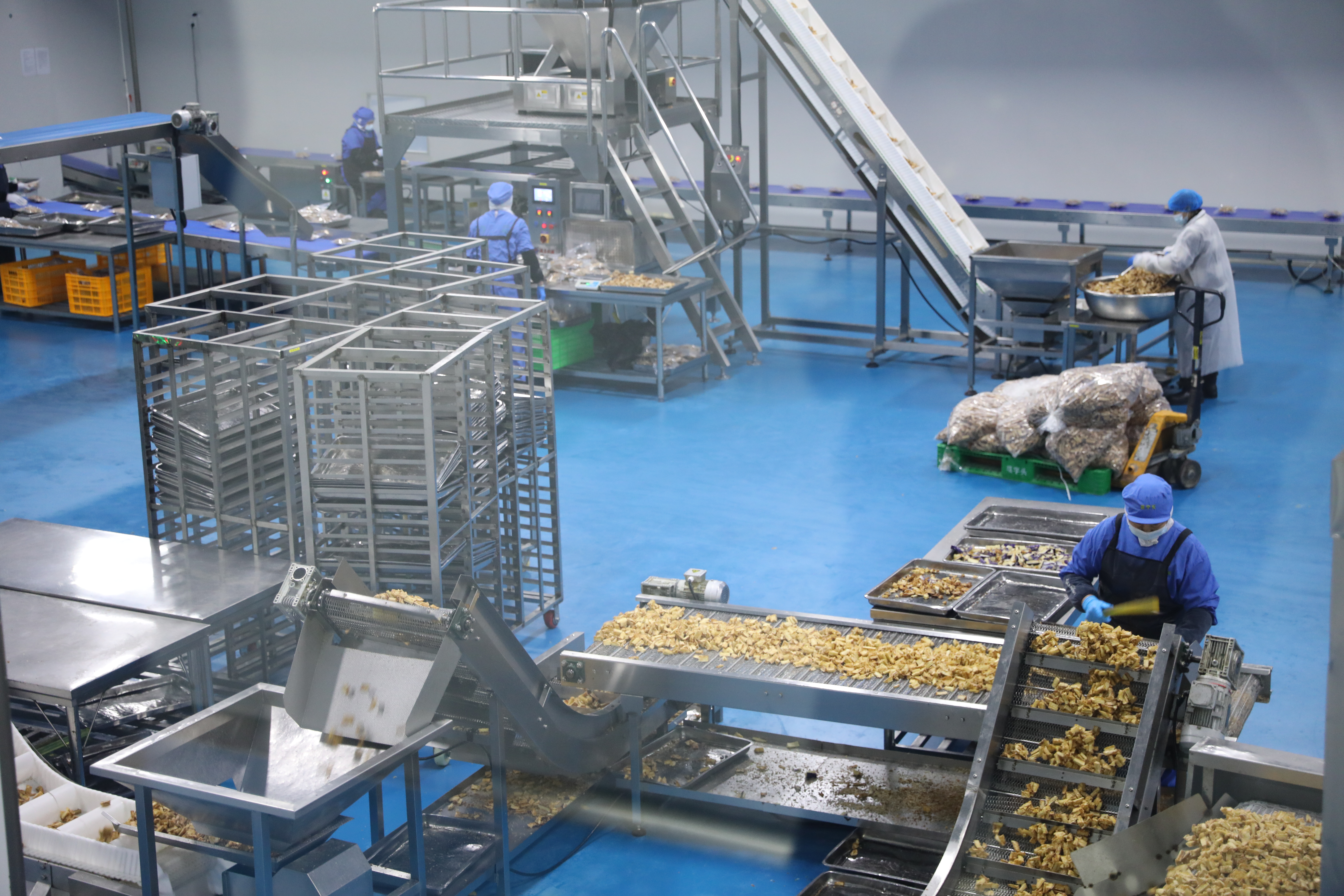 菜字头食品科技有限公司车间生产现场