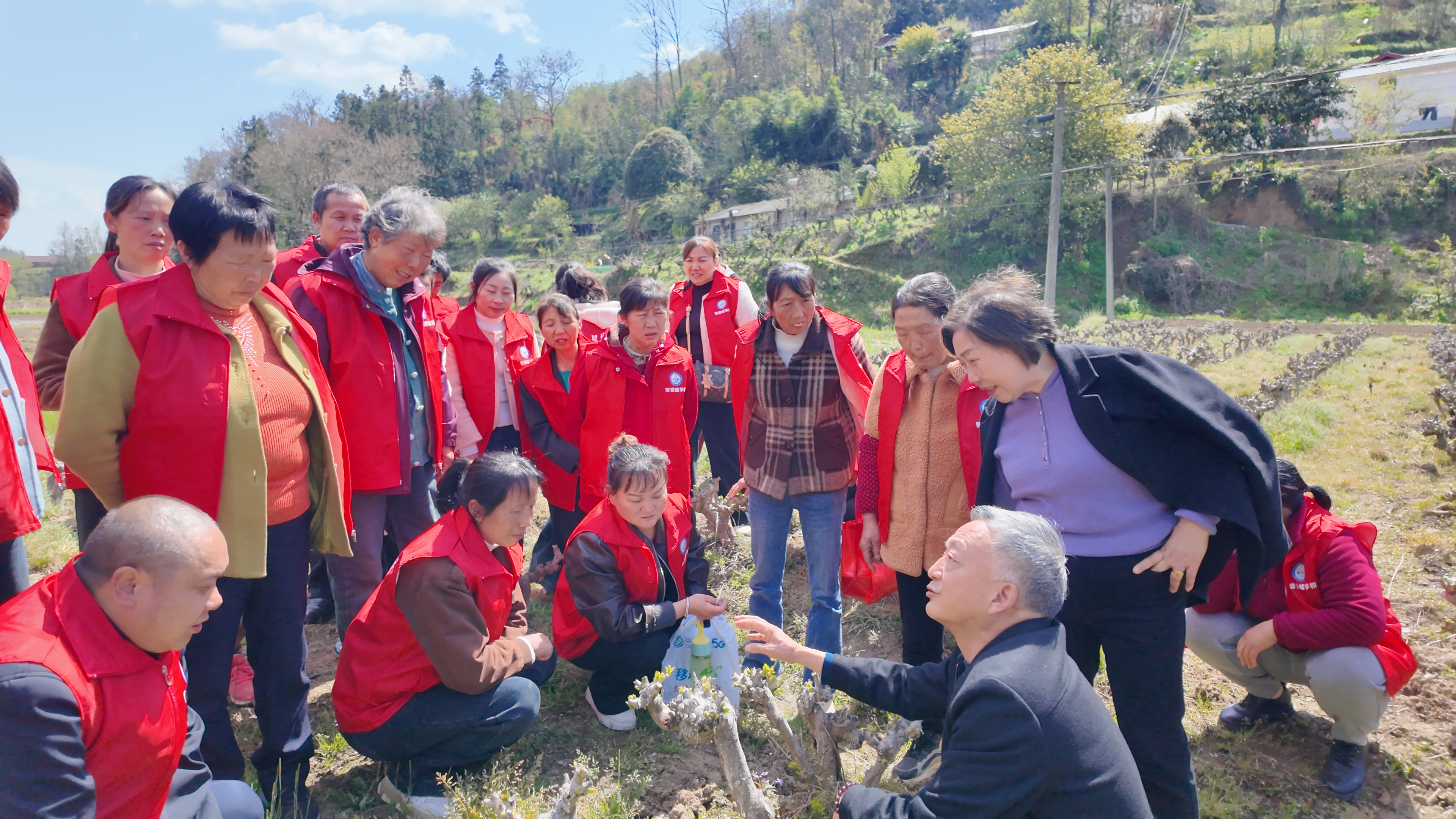 农技人员在田间地头为农户开展蚕桑产业培训