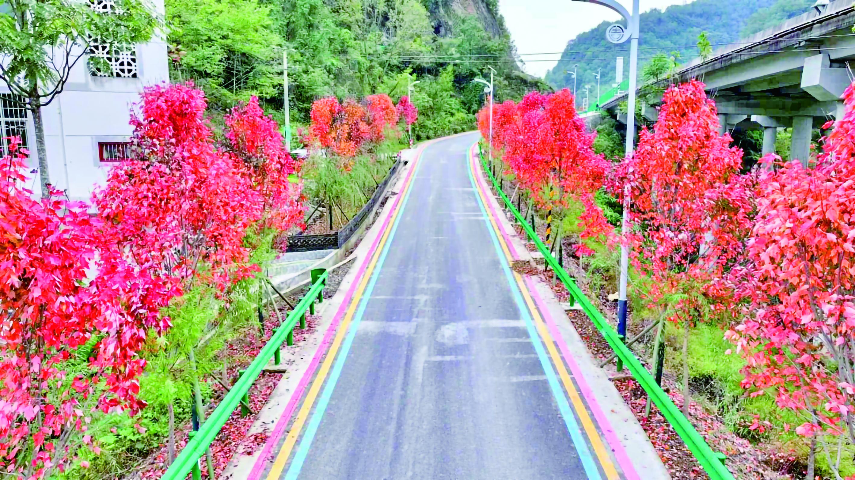 自力村红叶大道