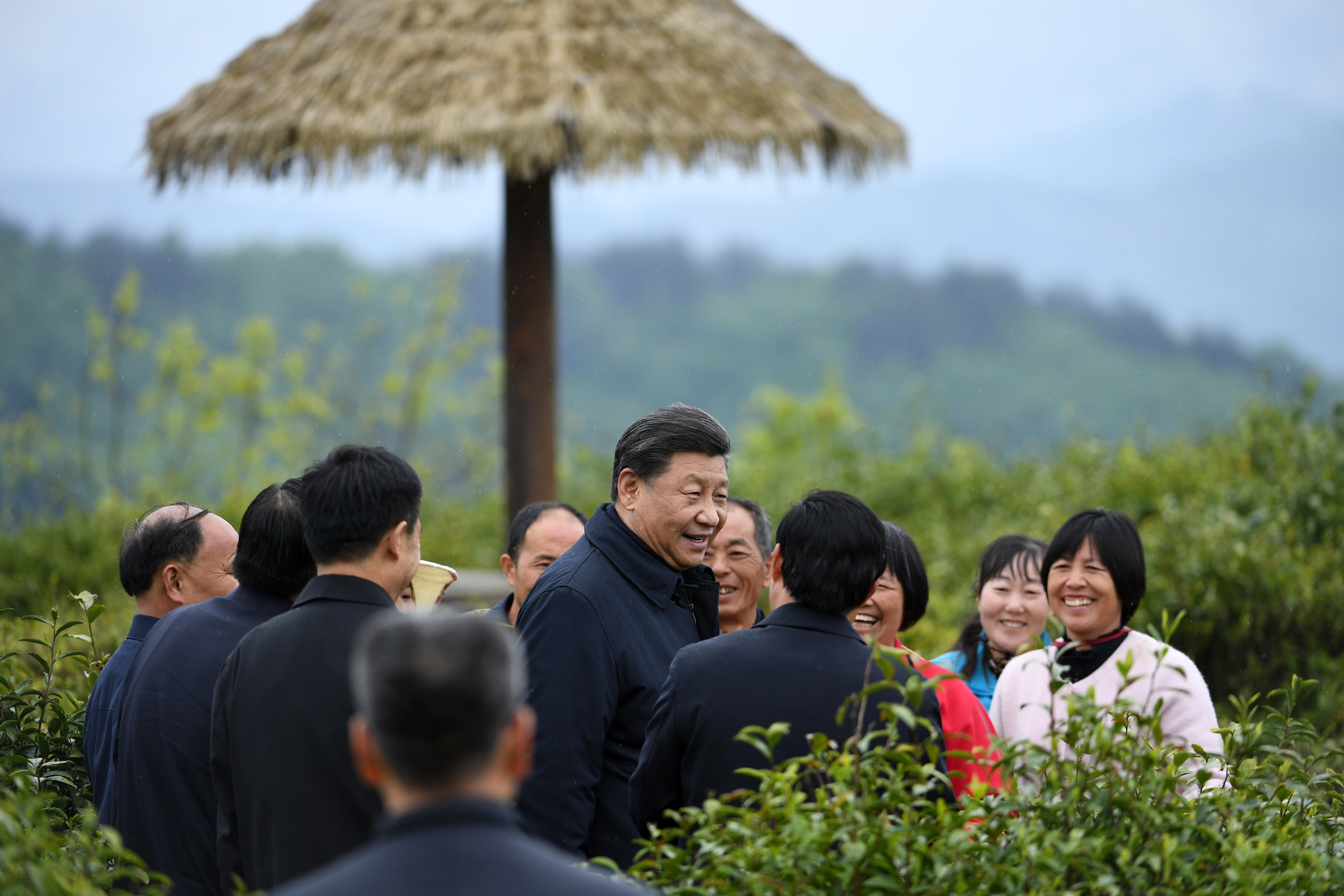 2020年4月21日，习近平在安康市平利县老县镇蒋家坪村女娲凤凰茶业现代示范园区，同茶农们亲切交谈。