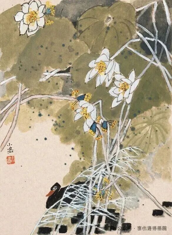图片