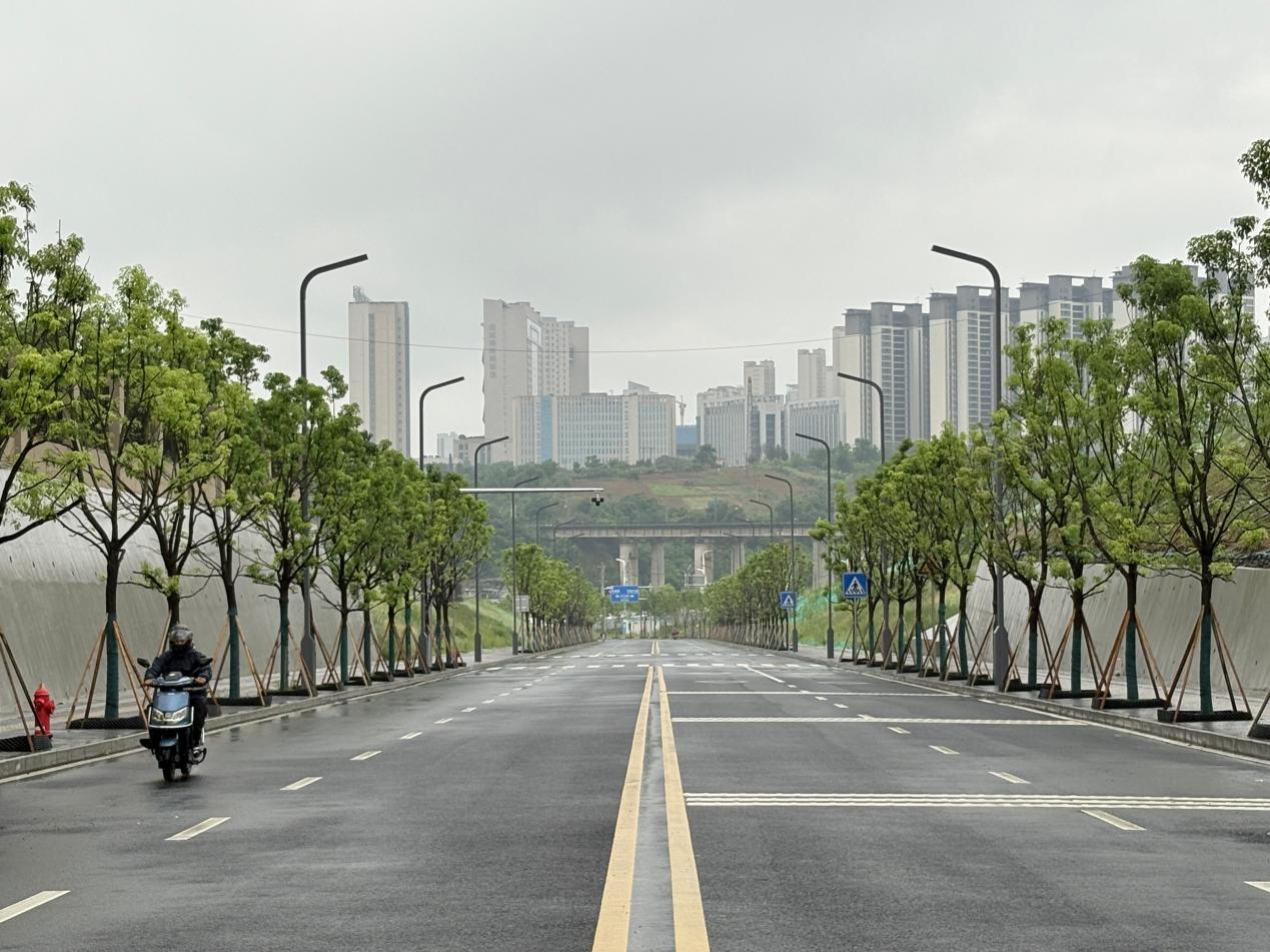 正式通车运行的张岭中路西段