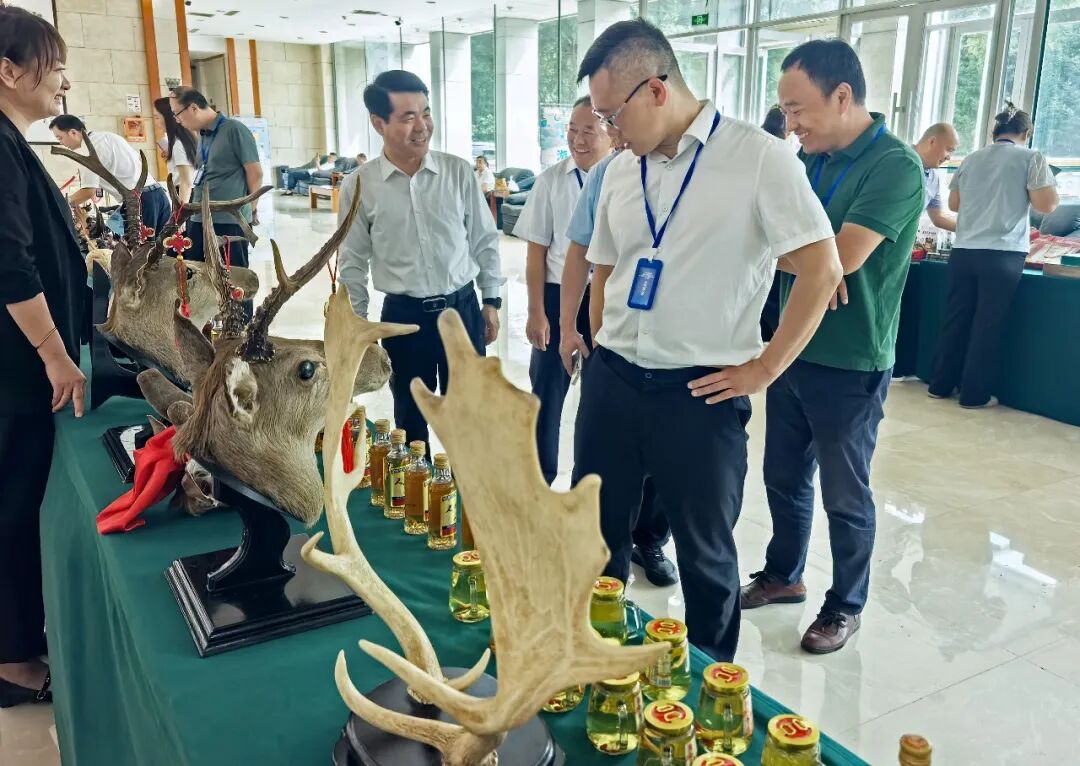活动现场设置吉林市商贸服务展示区引起嘉宾浓厚兴趣。 图片